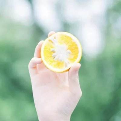 精灵盛典黎明微信版下载